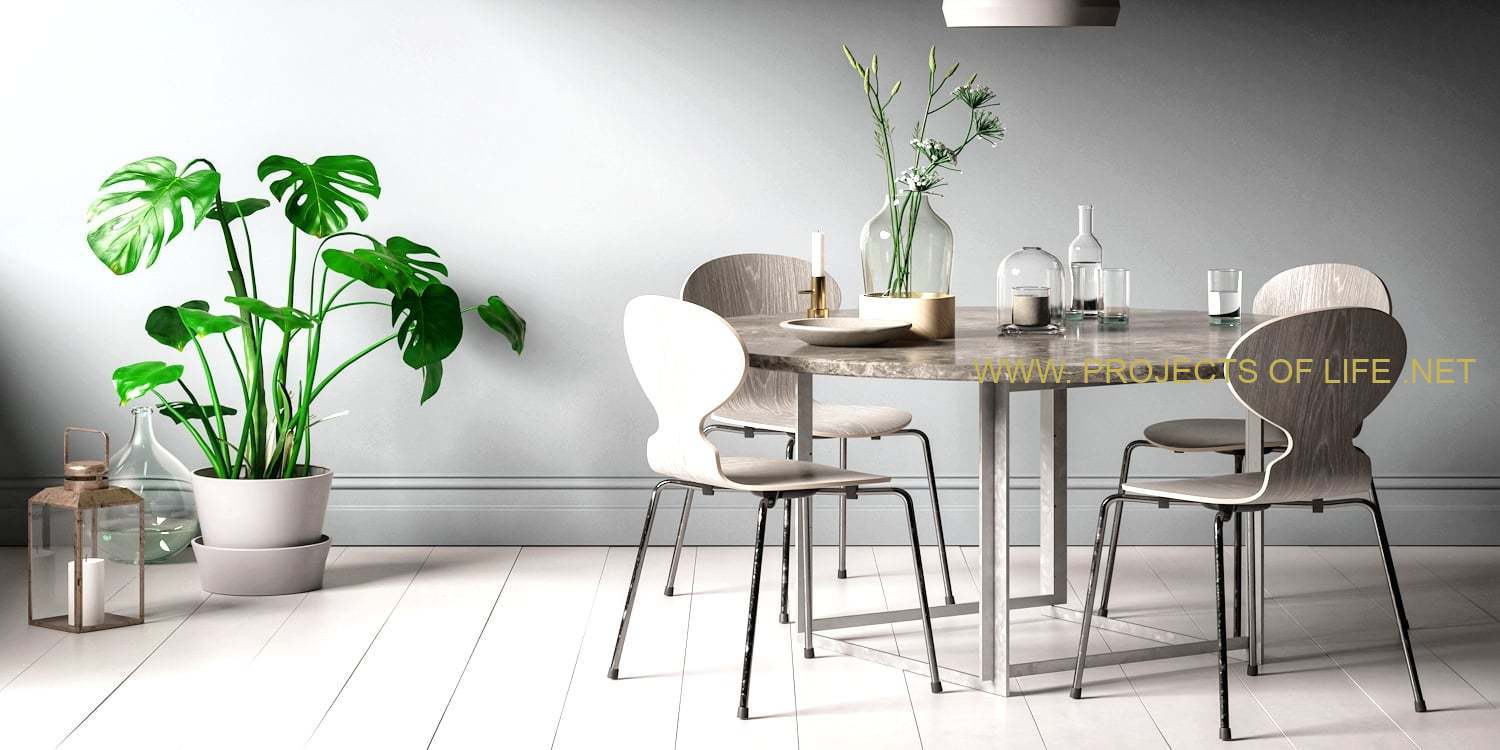 • Interior Design • Dining Room •