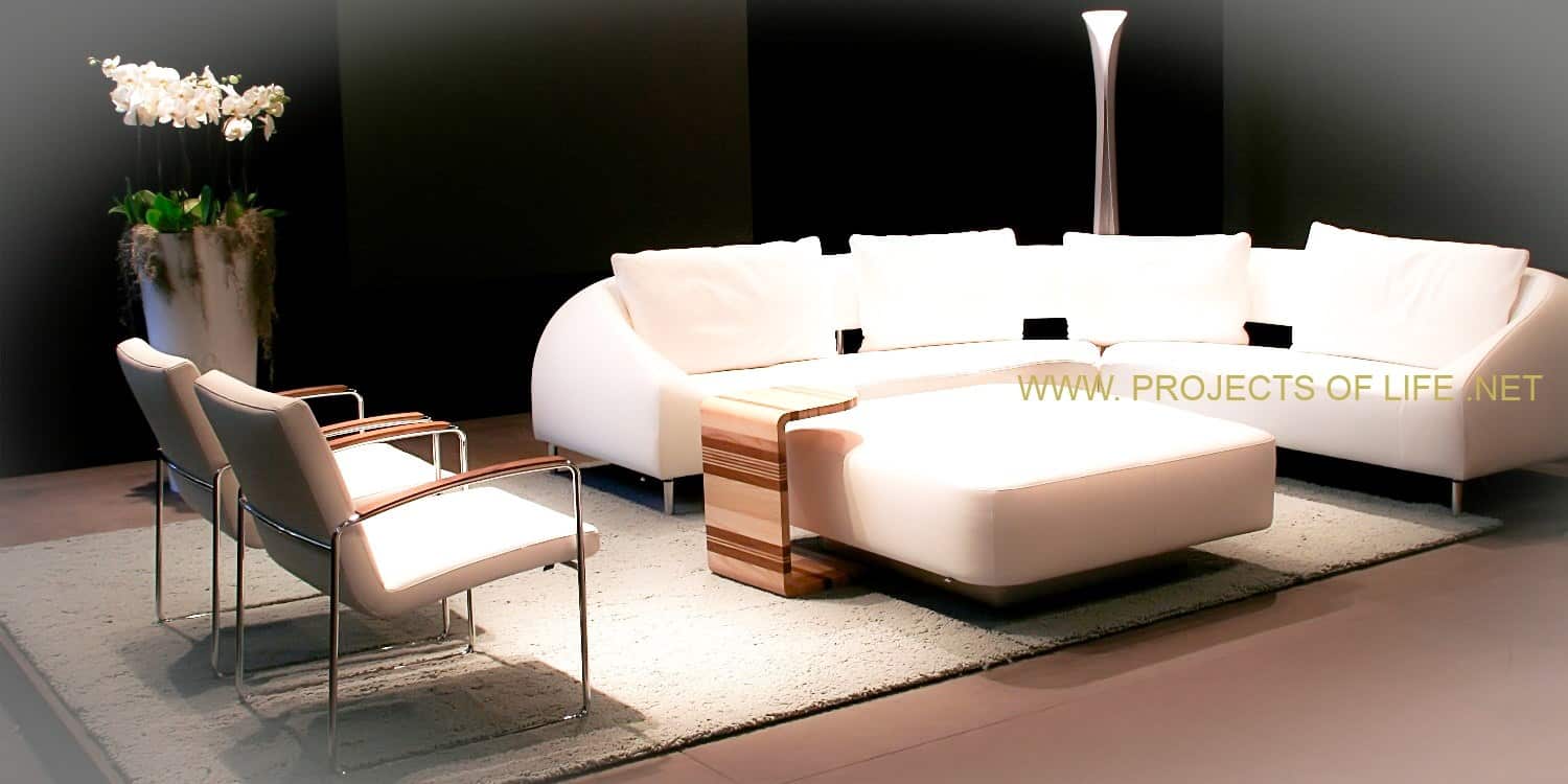 • Interior Design • Living Room •