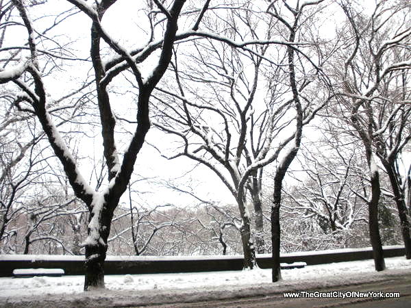 • New York • Snow •
