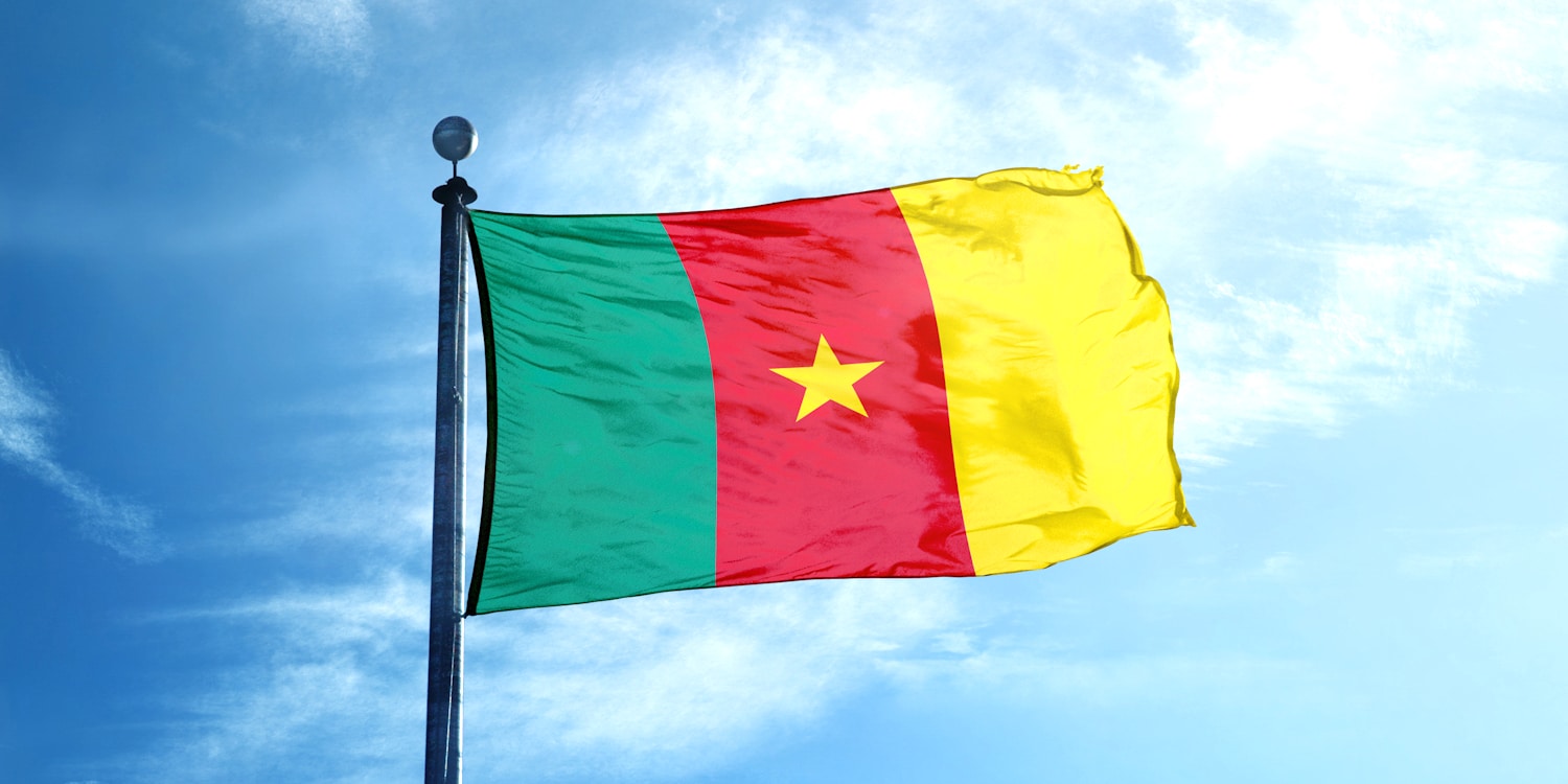 World / Flags / Cameroon